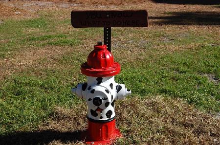 Fire Hydrant at Dog Park Painted like a Dalmation Dog