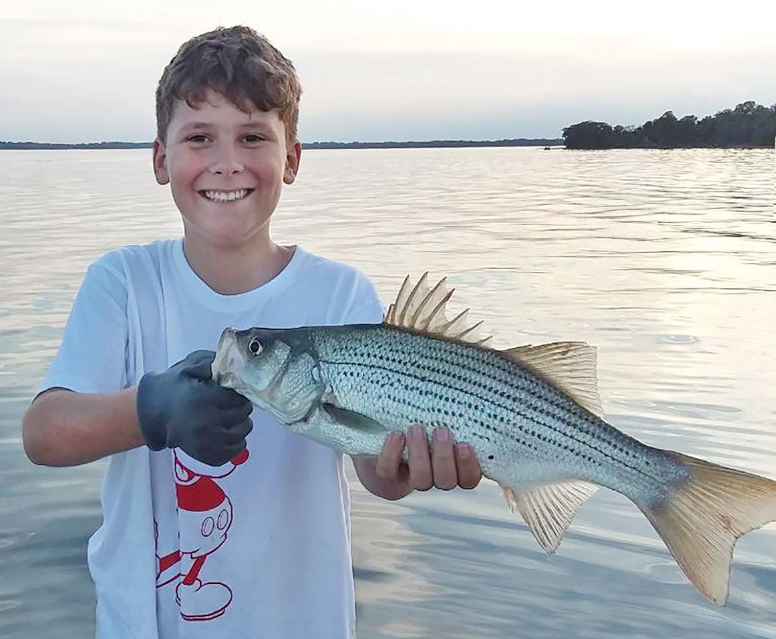 hybrid bass harris chain Boy